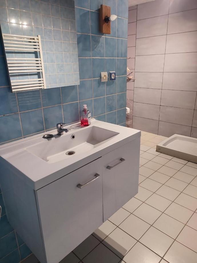 Chambre Deplacement Professionnel Zilling エクステリア 写真